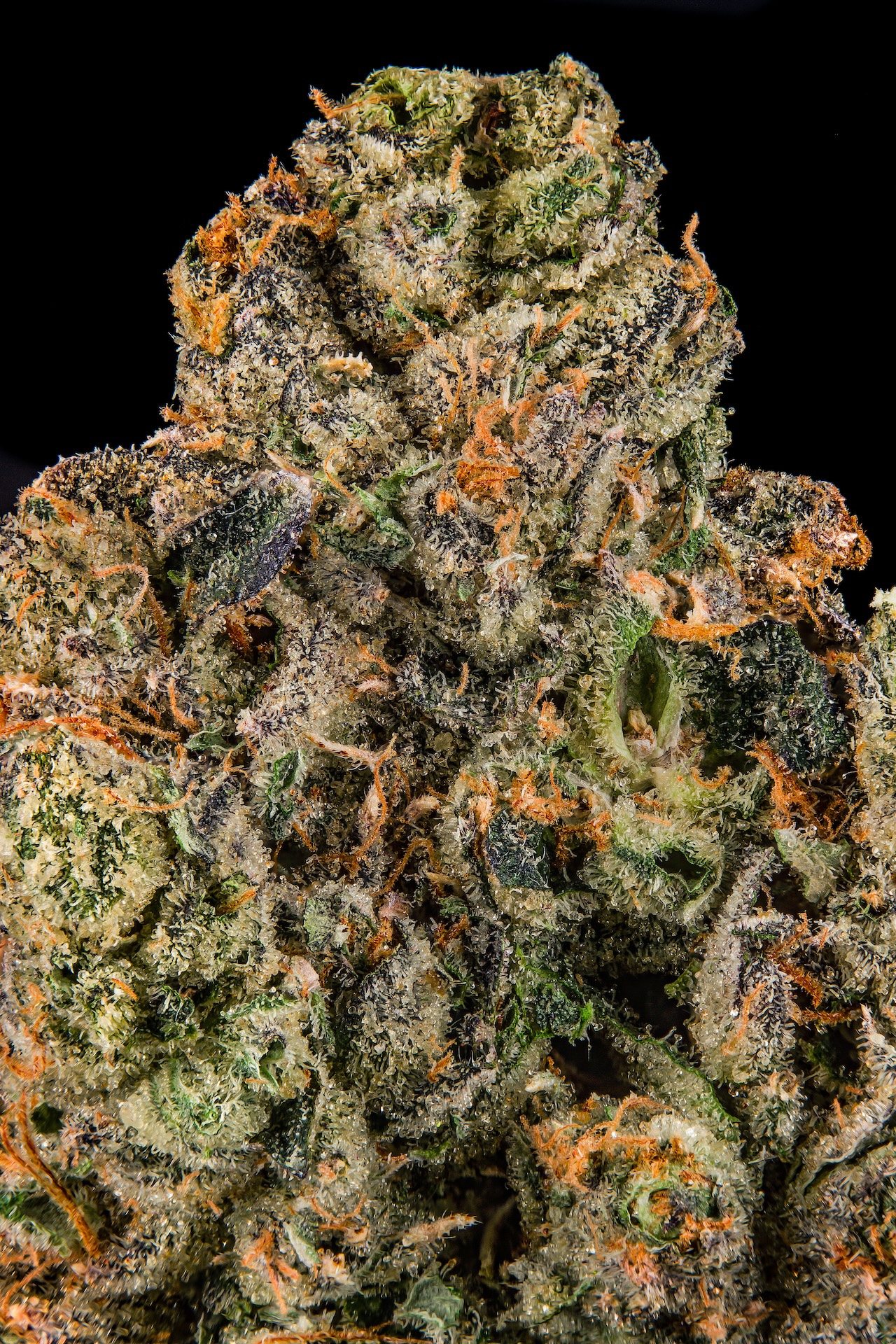 black-mountain-side-highxotic-closeup